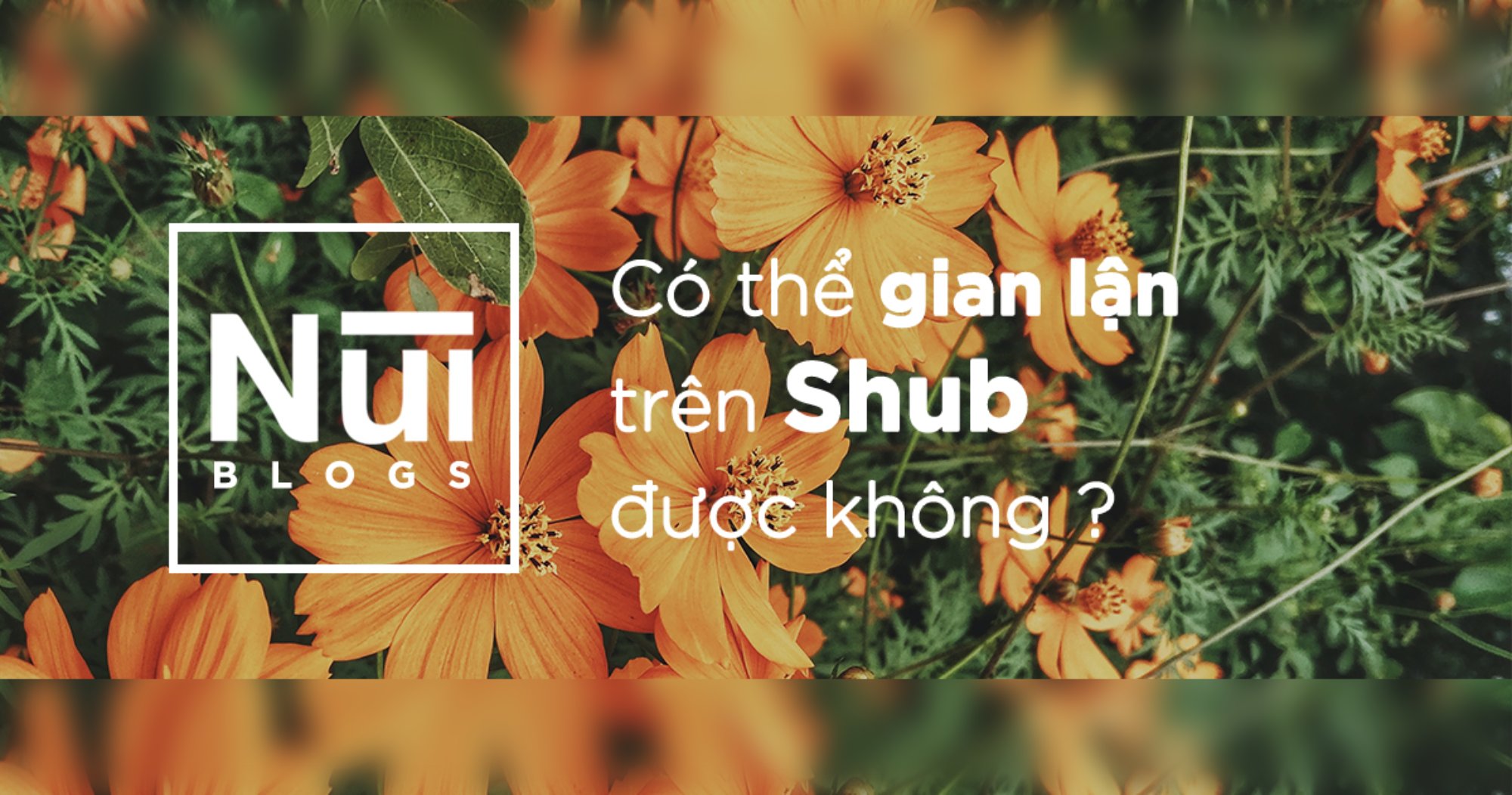 #34: Có thể "gian lận" kiểm tra trên Shub không ? 